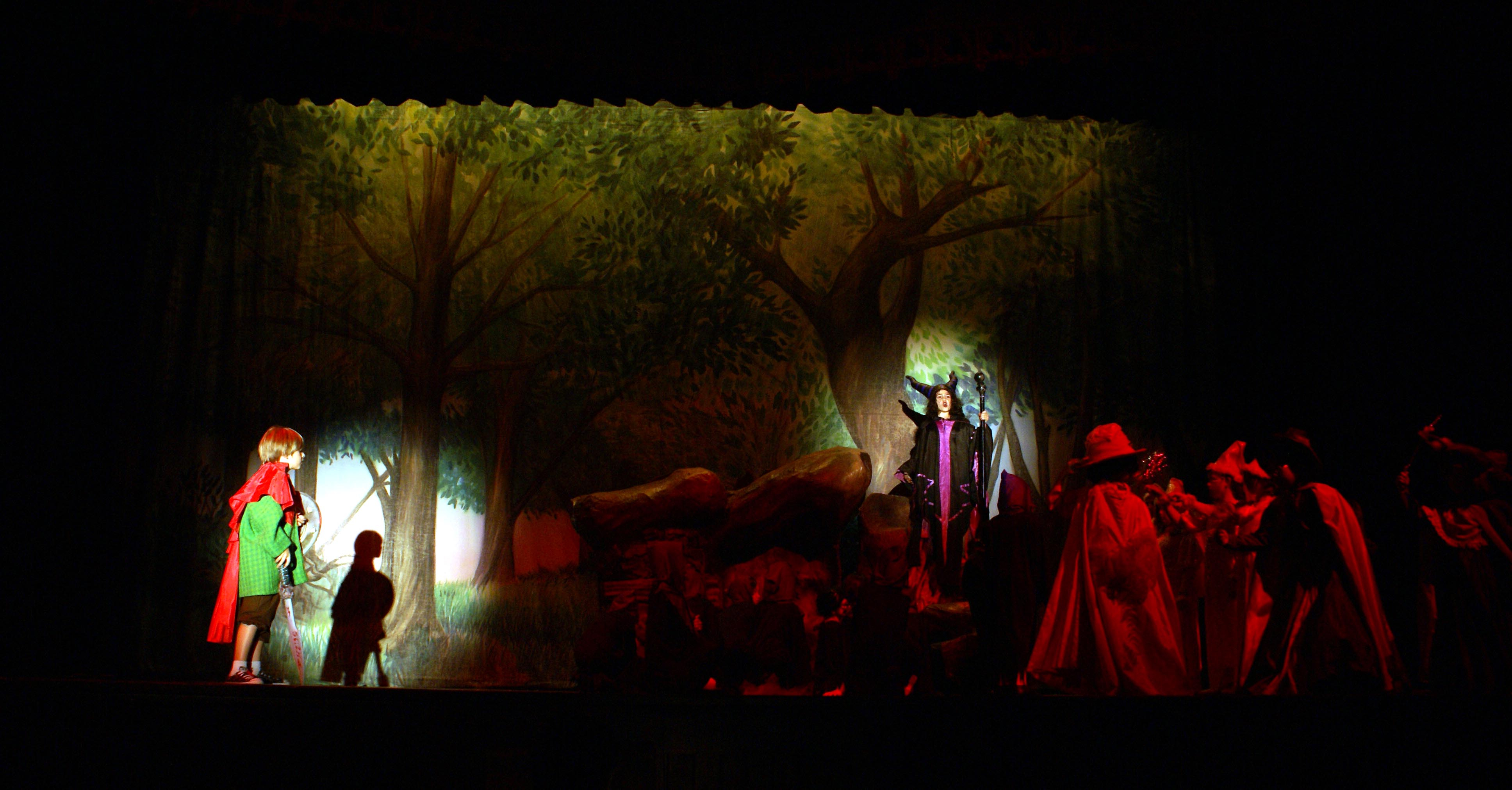 Gallery: 2008 Theatre Camp