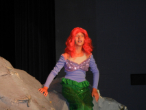 ariel