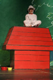 snoopy on house