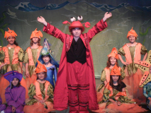 under the sea