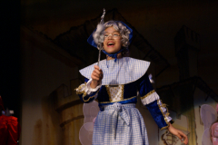amanda chin fairy