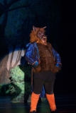 Into The Woods 047-min