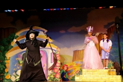 IMGP2542 (1)-X3