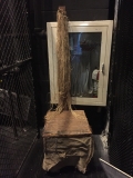Image-6